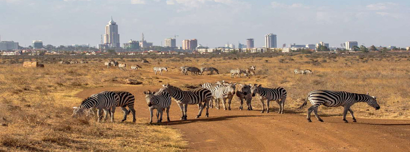 kenya.jpg